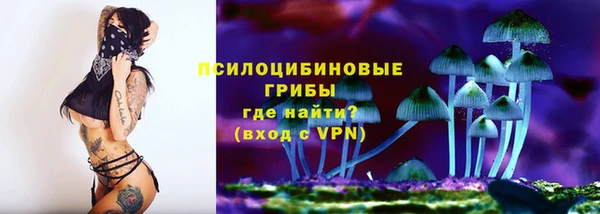 СК Володарск